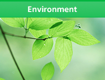 Environment
